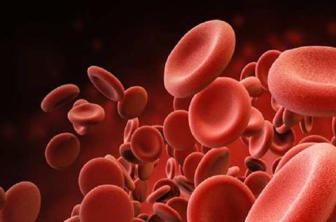 ماذا يعني ارتفاع Pct في تحليل الدم؟
